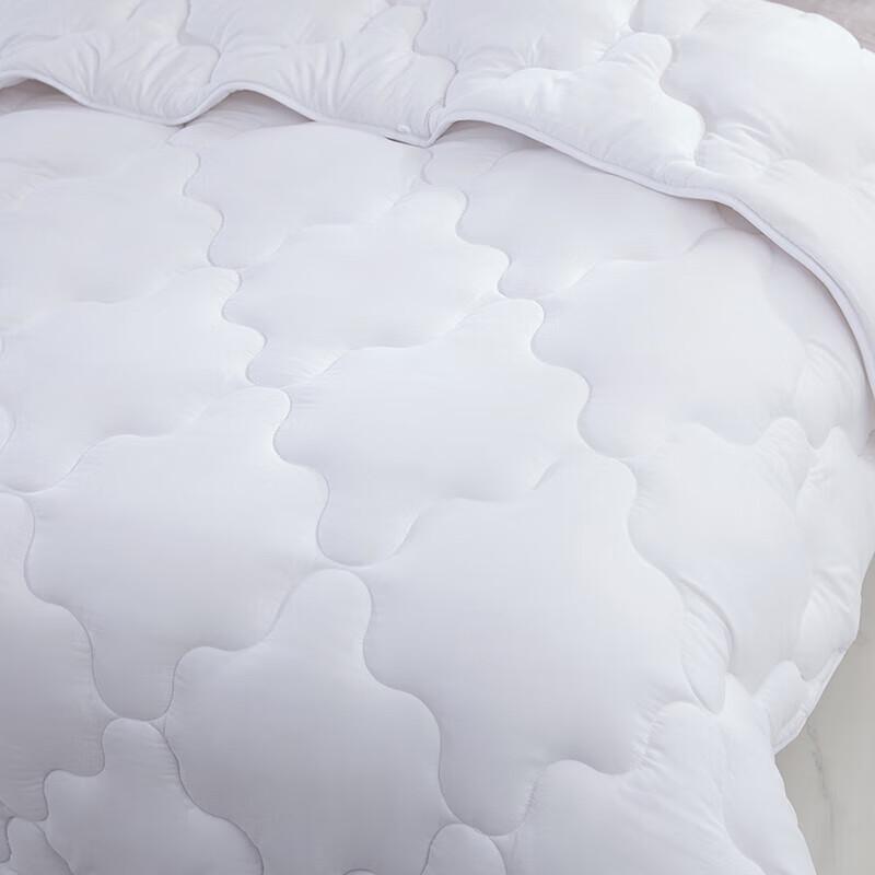 Mengjie Soft Antibacterial All-Season Quilt