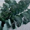 10 Pcs Real Leaves Hanging Dried Eucalyptus Large Preserved Eucalyptus Stems  Shower Hanging