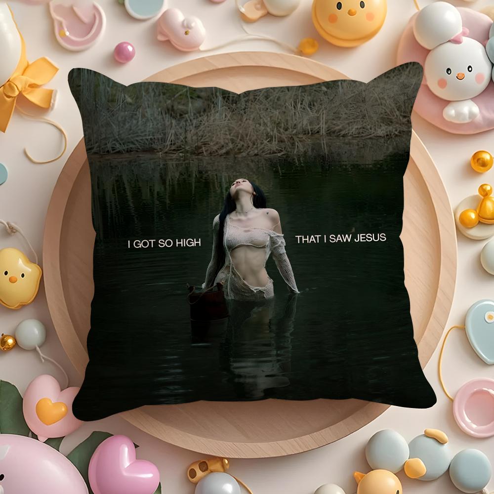 

N-Noah Singer C-Cyrus Cushion Cover Home & Car Multi-Scene Pillow Cover - Reversible, Soft & Durable for Daily Use 30cmx30cm