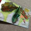 [USED] Uncle Peasly and the Pea Pod Kids Pop-up Book
