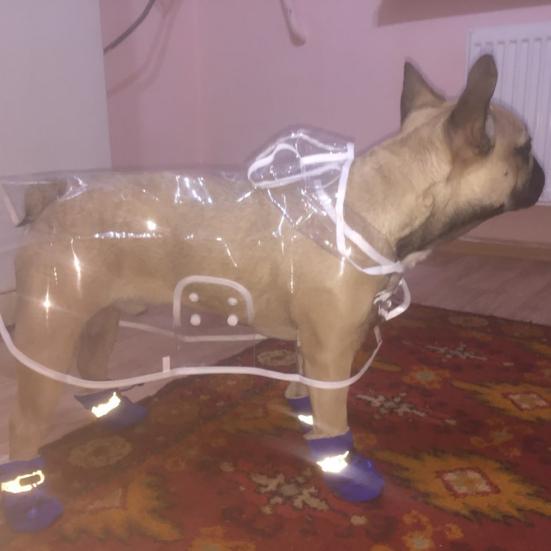 4 szt./zestaw Pet Pies Szczeniak Antypoślizgowe Miękkie Pokrowce na Buty Buty Deszczowe Obuwie do Domu