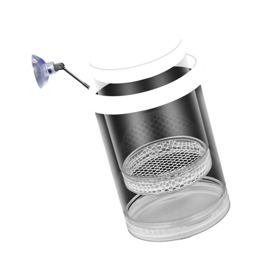 Floating Fish Breeding Box Plastic Mesh Design Safe Aquatic Habitat Isolation Tanks For Fry Shrimp Easy Setups Compacts