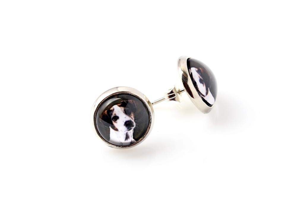 Jack Russell Terrier - earrings your photo handmade, own photo, jewelry from the Art.-Dog brand