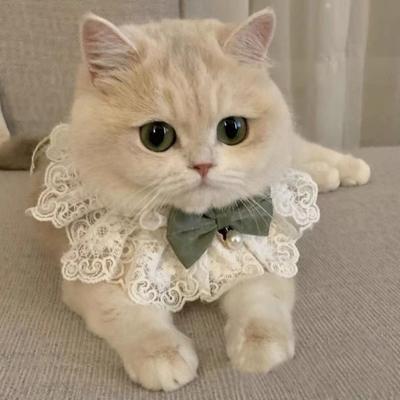 Inci köpek tasması Mücevherli Ipek Düğün Kedi Yavrusu Şerit Eşarp Kolye Pet Yaylar Kolye Saten Yeni Yavru Aksesuarları Papyon Hediye