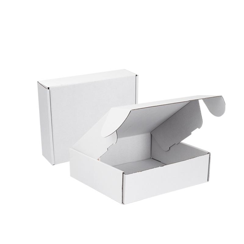 

White Rectangular Airplane-Themed Paper Box - Express Shipping Style
