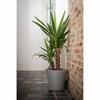 Self-watering Flowerpot Garden ID Grey 40 Cm