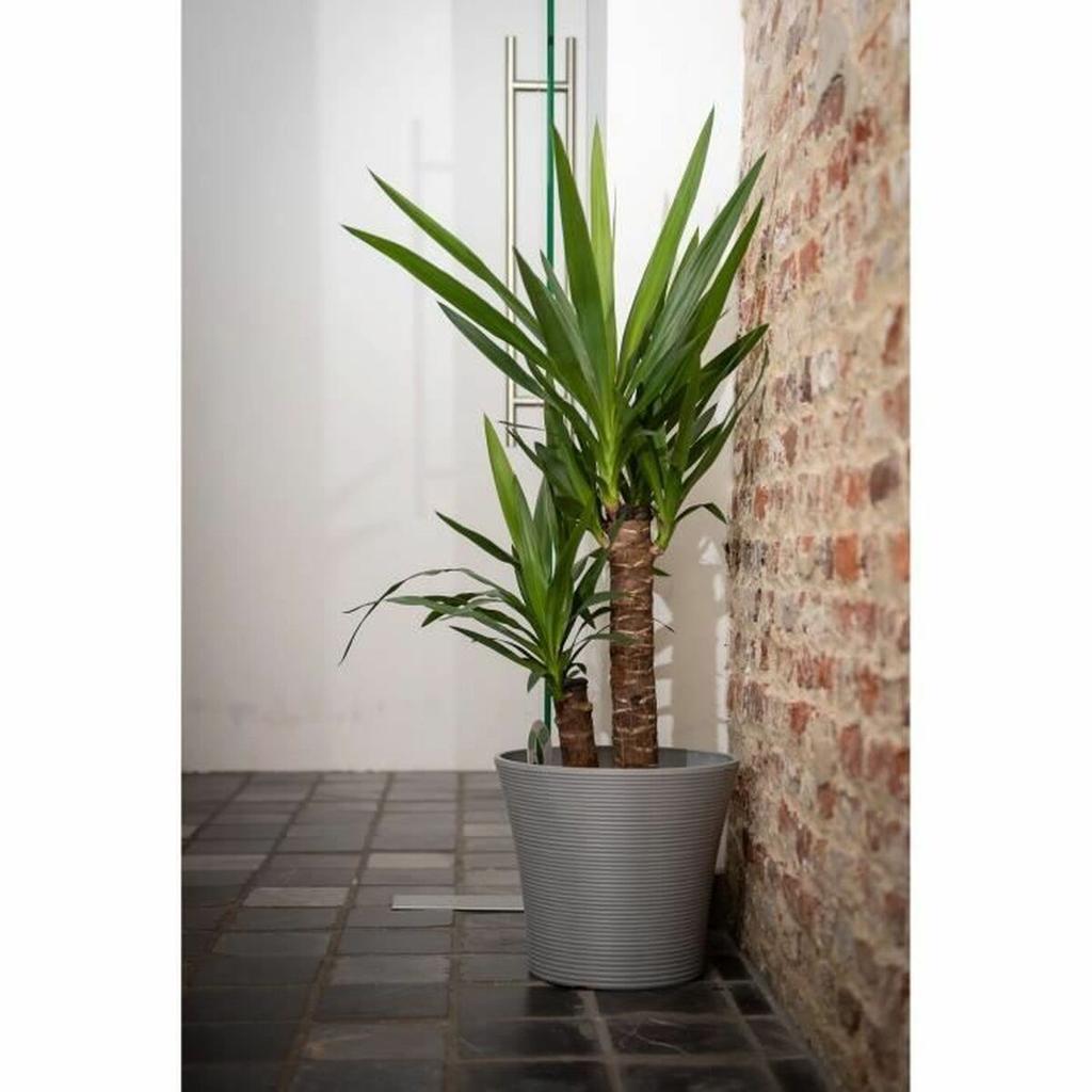 Self-watering Flowerpot Garden ID Grey 40 Cm