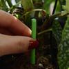 30Pcs/Box Plant Rooting Fertilizer New Indoor Potted Plant Growth Enhancer Bar Universal Plant Nutrition Stick Garden Supplies