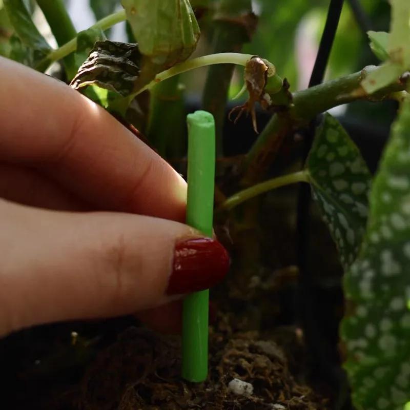 30Pcs/Box Plant Rooting Fertilizer New Indoor Potted Plant Growth Enhancer Bar Universal Plant Nutrition Stick Garden Supplies