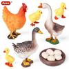 Poultry Science Simulation Toy Set: Hen, Duck, Goose Birth & Egg Laying