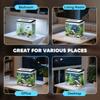13L Glass Aquarium Fish Tank with Filter, LED Lighting, for Betta, Guppy, Mini Parrot Fish, Shrimp, 29 x 20 x 30.5cm