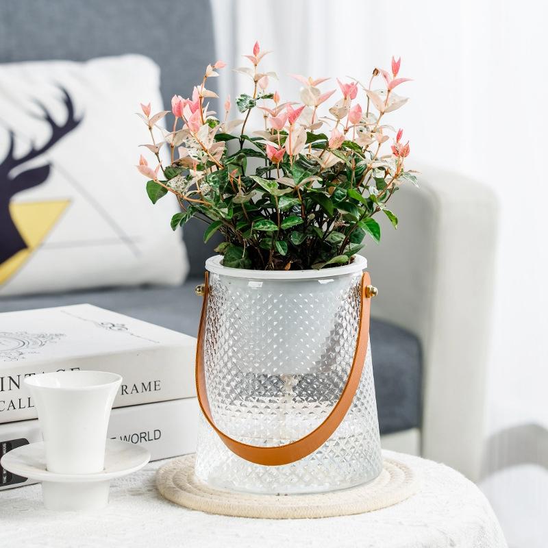 Hydroponic Flowers Vase Water Absorbing Plastic Flowerpot Desktop Ornament Leather Handle Self-watering Flowerpot Decoration