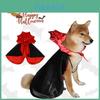Capa de Mago para Gato e Cachorro de Halloween Macia, Leve e Perfeita para Festas de Halloween!