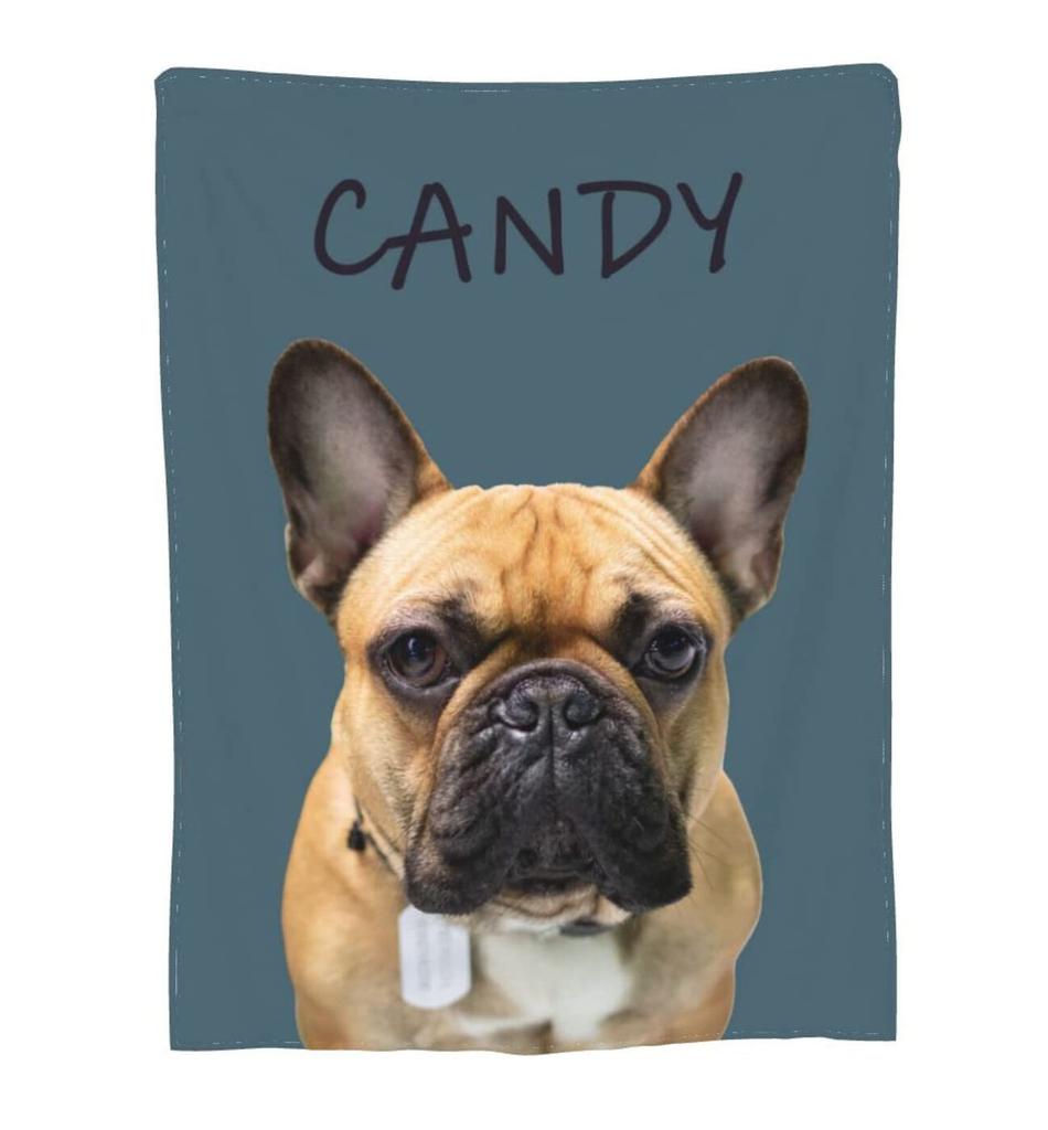 Dog Animal Pattern Blanket Flannel Soft Comfortable Home Blanket Warm Blanket Birthday Holiday Gift