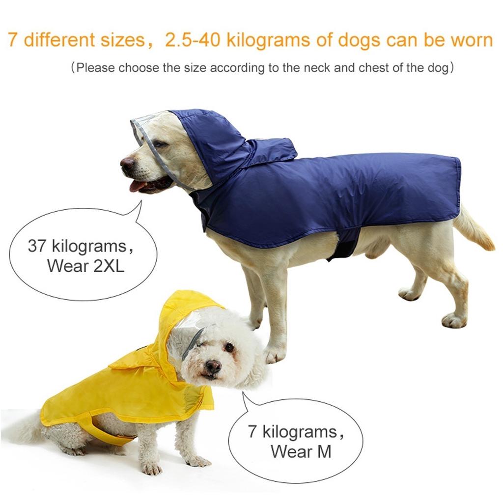 waterproof dog hat
