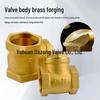 Full Copper Horizontal Check Valve Backflow Preventer for Tap Water (DN15) - Internal Thread