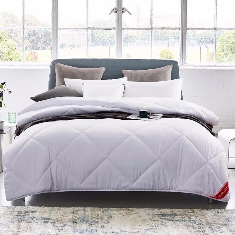 

Menge Ai Cao Soft Brushed Spring/Autumn Comforter