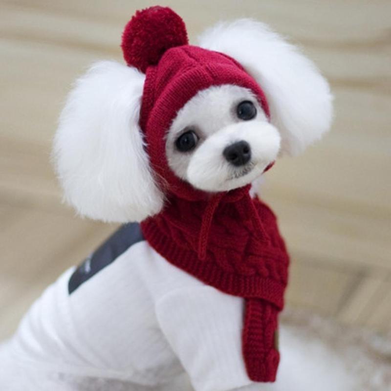 Haustier Hund Winter Warm Streifen Strickmütze + Schal Kragen Welpen Teddy Kostüm