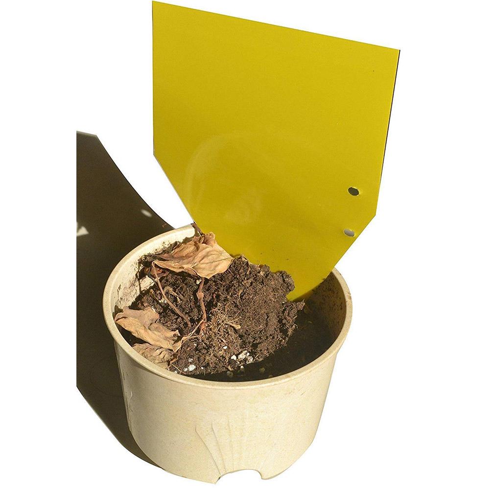 20pcs Sticky Traps Yellow Dual-Sided Paper Sticker For Flying Insect Bugs Flies Whiteflies