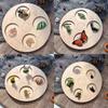for Frog Animal Life Cycle Model Desktop Decoration Educational Development Toys Realistic Appearance Stimulate Interest