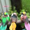 M-1Pcs Simulation Feather Birds Models Fake Foam Animal Artificial Birds DIY Wedding Home Garden Ornament Decoration Tree Decor