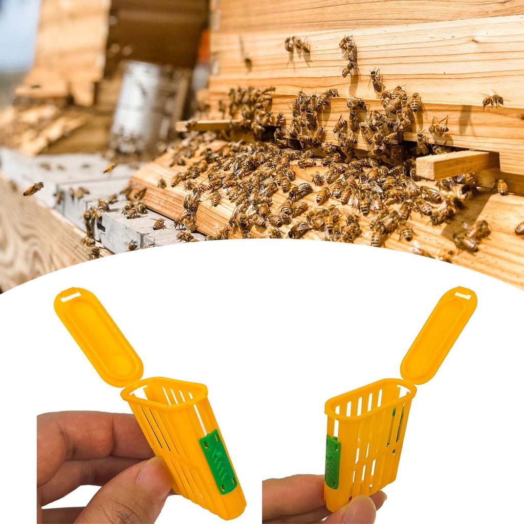 20Pcs Durable Plastic Rodent Cage Safe Capture Cages Beekeeping Cages for Small Animals In Farms Wild Areas