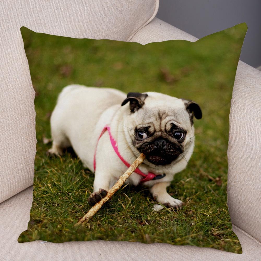 Cute Pug Dog Cushion Cover Both Sided Print Decor Pet Animal Pillowcase for Car Sofa Home Car Soft Plush Throw Pillow Case