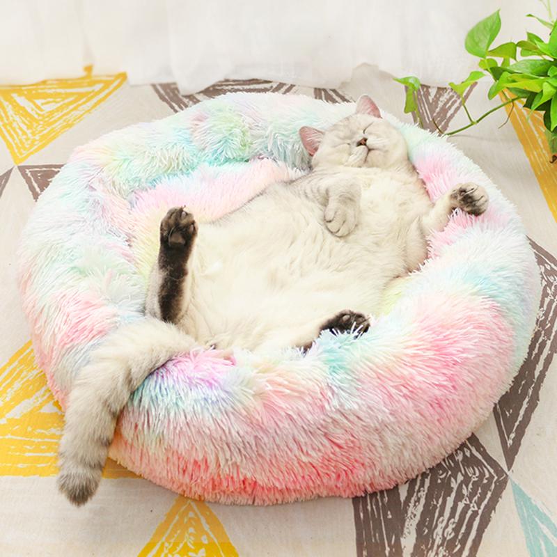 multi cat bed