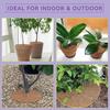 20/30/40CM Coconut Fiber Mulch Ring Natural Coconut Coir Tree Protector Mat Discs Indoor Outdoor Plants Pot Soil Cover Ring