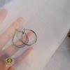 Women's High-End Plain Hoop Earrings: Light Luxury Ear Drops & Studs, Niche Design for Autumn/Winter.