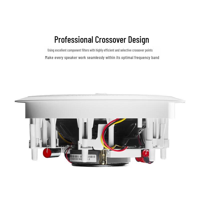 HiVi JX8*2+Sub10G In-Ceiling Home Theater & Background Music System CN plug (adapter included)