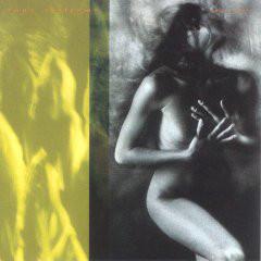 

CD TONY WILLIAMS - Native Heart CDP7931702 Blue Note 1990 US Jazz Used