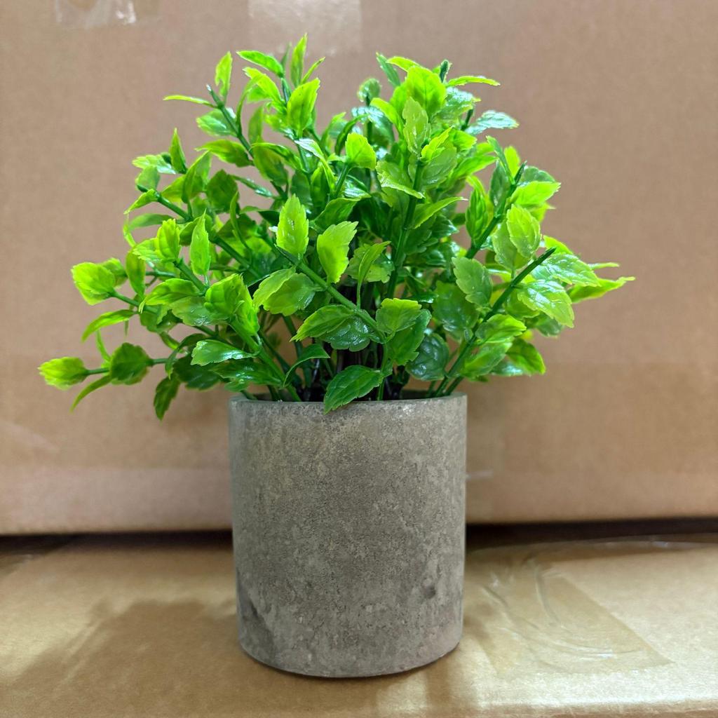 Small Potted Eucalyptus Artificial Plant for Shelf, Desk, or Table Decoration