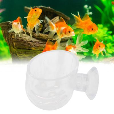 Fische & Meerestiere – Aquarienpflege