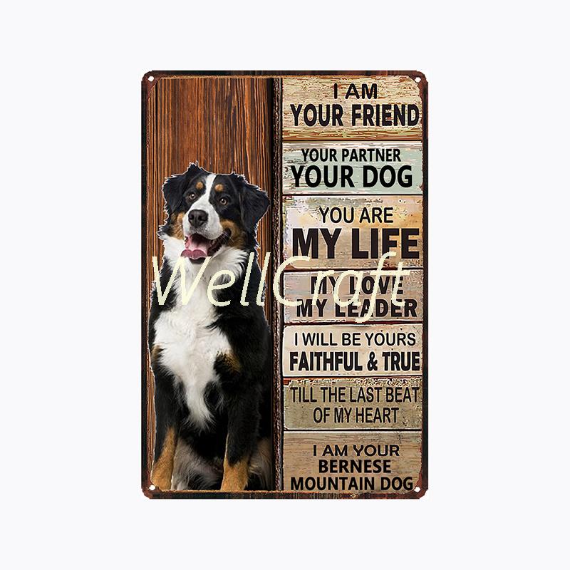 [ WellCraft ] 20*30cm You Are My Sunshine Cat Metal Poster Tin sign Vintage Wall Plaque Decor WX-62-1