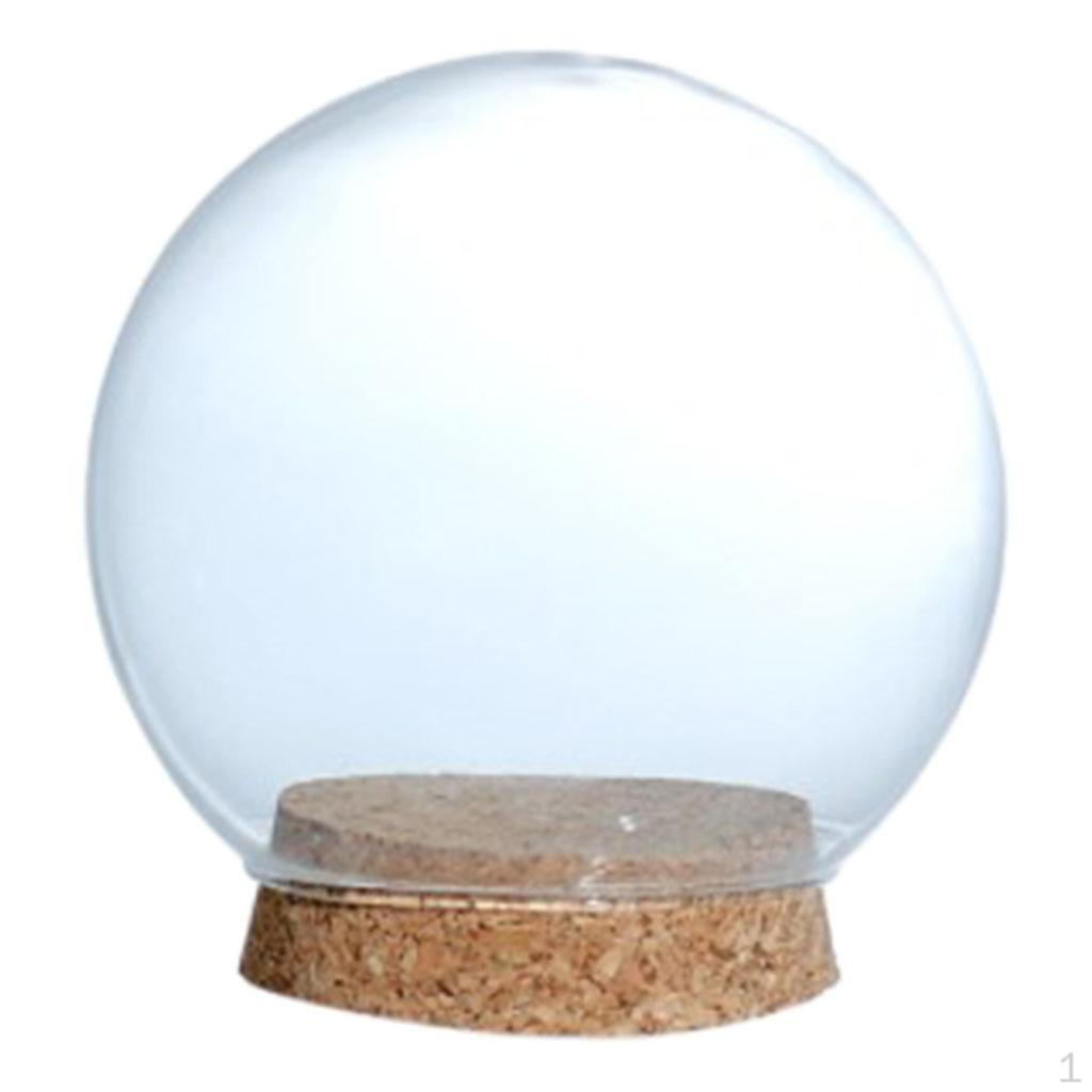 

/ Bell Shaped Glass Ball Display Various And Accessories with Wooden Base Spherical B 10x6.5x9cm