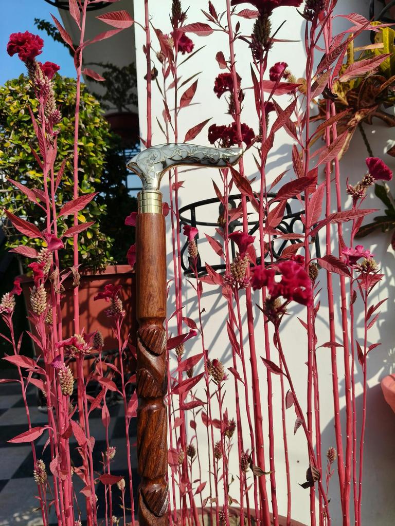 Walking Stick Brass Enamel Handle, Carved Rosewood Cane Home Decor