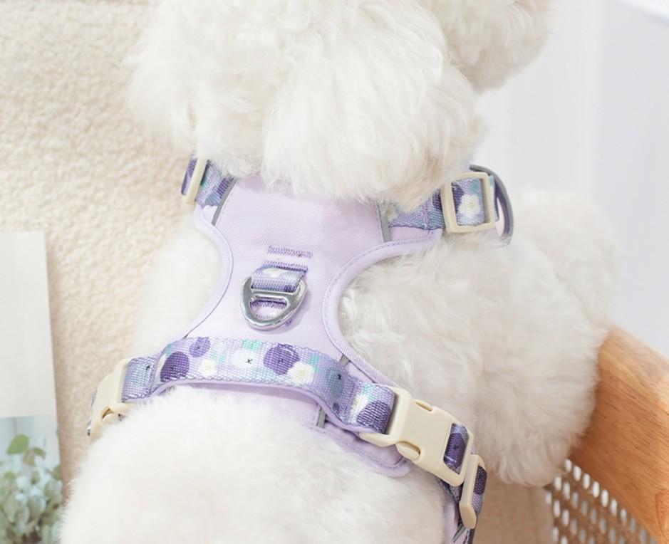 Custom Adjustable Neoprene Luxury Fruit Pattern Printed Webbing Breathable Comfortable Hook Loop Closure Hand Wash Dog Harness S