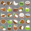 50 Coconut Doodle Personalized Cartoon Fruit Children's Gu Card Decorative Mobile Phone Case Suitcase Stickers Waterproof
