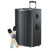 Soaiy SA-F87 15-inch Portable Bluetooth Trolley Speaker (CN Version)