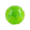 EETOYS Spiky Squeaky Chew Ball Dog Toy