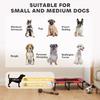 Portable Raised Dog Bed, Elevated Pet Cot with Breathable Mesh for Indoor Outdoor, for Small Medium Dogs, Red