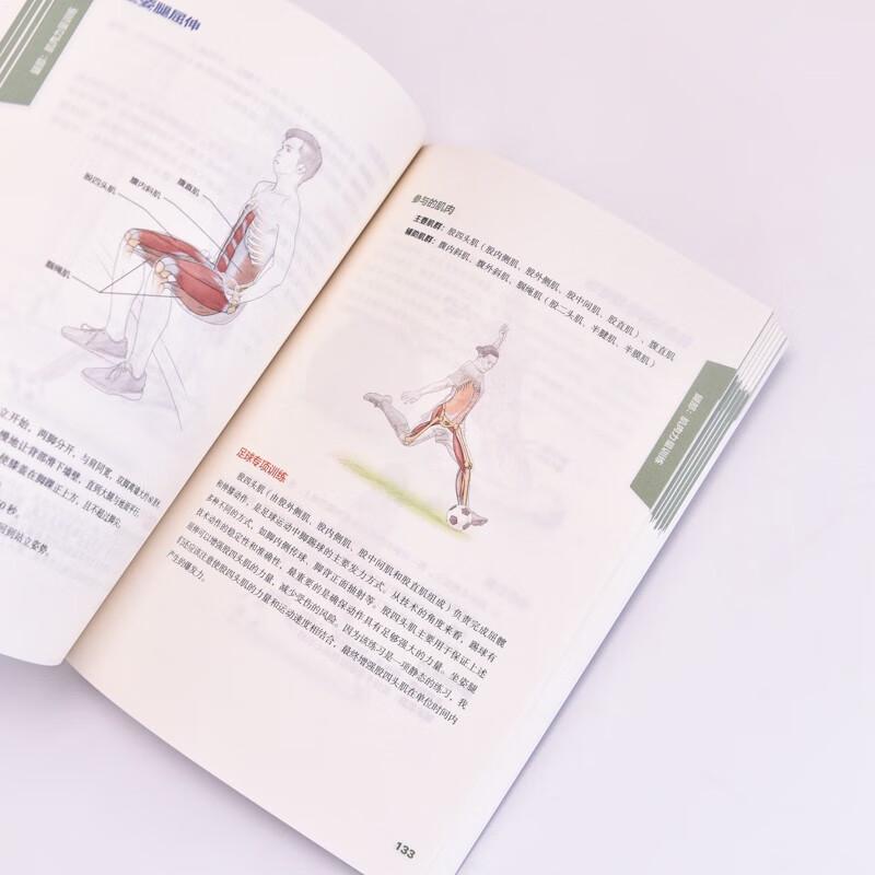 Football Sports Anatomy, 2nd Edition