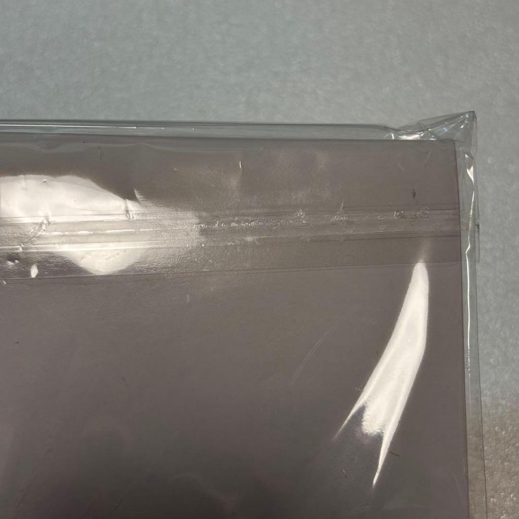 [USED] Stray Kids Foxl.Ny AIN Photo Card Keychain