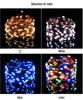 Solar-Powered LED Copper String Lights for Outdoors - Waterproof Starry Sky Christmas Decorations