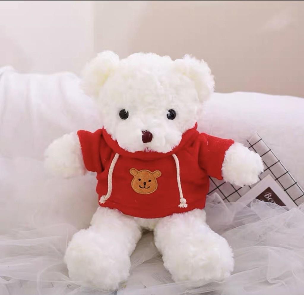 Teddy Bear Adorable Hoodie Cute Girl Kids Companionship Plush Toy Birthday Gift