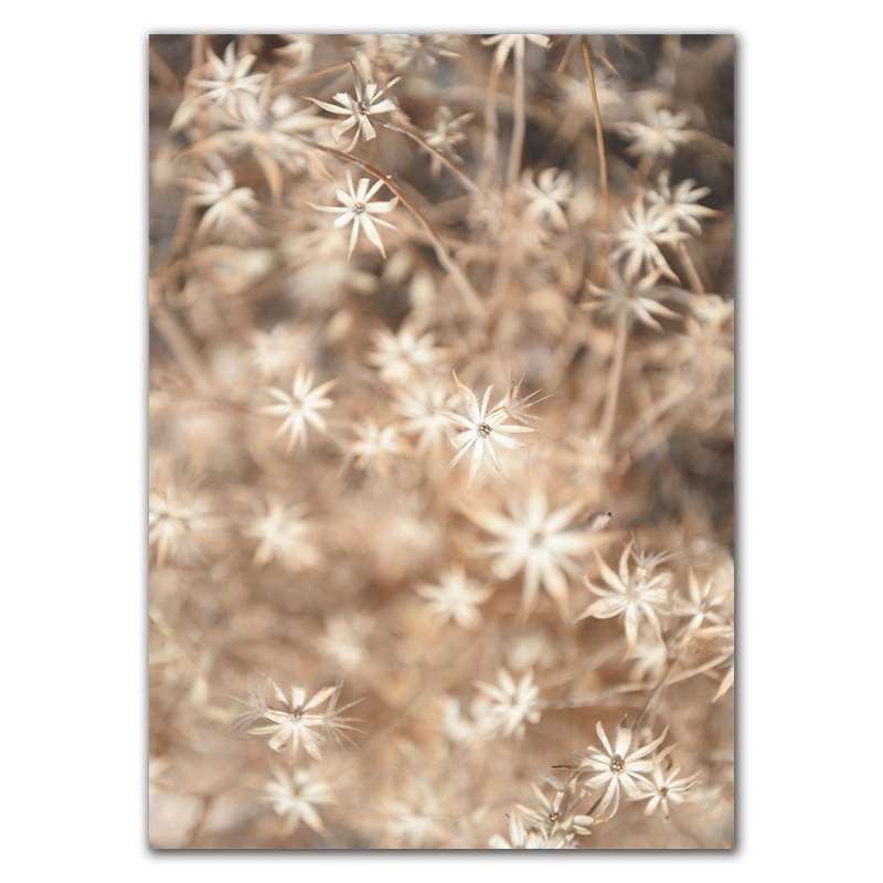 Landschaft Gras Herbst Landschaft Drucke Kunst Leinwand Malerei Wilde Pflanze Natur Raum Dekoration Bild Wand Poster FJ031