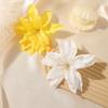 10pcs Sweet Vacation Style Flower Hair Clips Summer Beach Flower Clips Beach Photography Hair Accessories for Women