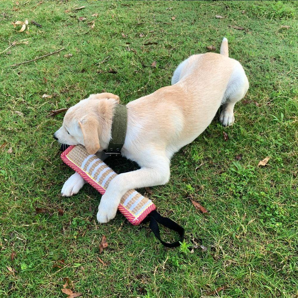 Pet Accessories Bite-resistant Dog Bite Pillow Interactive Durable Pet Chew Sticks Rope Handles Dog Tug Toy for Cats and Dogs