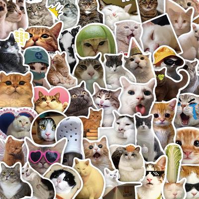 50-Pack Waterproof Internet Cat Meme Stickers for Notebook, Phone, Water Bottle
